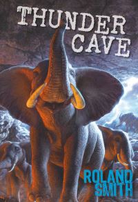 Book Cover for Thunder Cave by Roland Smith