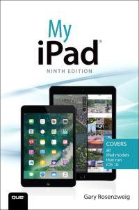 Book Cover for My iPad by Gary Rosenzweig