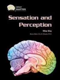 Book Cover for Sensation and Perception by Mike May