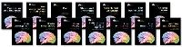 Book Cover for Gray Matter Set by Phd Eric H Chudler