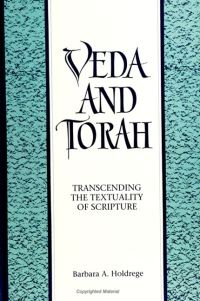 Book Cover for Veda and Torah by Barbara A Holdrege