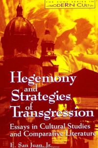 Book Cover for Hegemony and Strategies of Transgression by E San Juan Jr