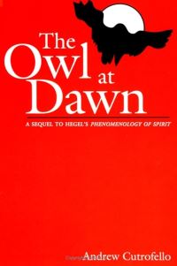 Book Cover for The Owl at Dawn by Andrew Cutrofello