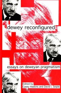 Book Cover for Dewey Reconfigured by Casey Haskins, David I Seiple