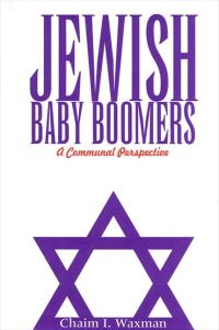 Book Cover for Jewish Baby Boomers by Chaim I Waxman