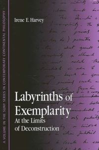 Book Cover for Labyrinths of Exemplarity by Irene E Harvey