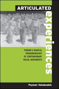Book Cover for Articulated Experiences by Peyman Vahabzadeh