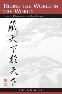 Book Cover for Hiding the World in the World by Scott Cook