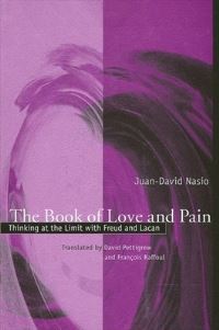 Book Cover for The Book of Love and Pain by JuanDavid Nasio