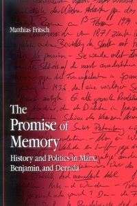 Book Cover for The Promise of Memory by Matthias Fritsch