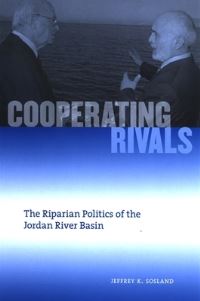 Book Cover for Cooperating Rivals by Jeffrey K Sosland