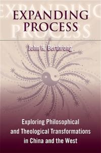 Book Cover for Expanding Process by John H Berthrong
