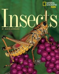 Book Cover for Insects by Robin Bernard