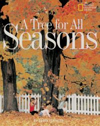 Book Cover for A Tree for All Seasons by Robin Bernard