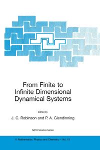 Book Cover for From Finite to Infinite Dimensional Dynamical Systems by James Robinson, Paul A Glendinning