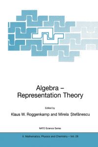 Book Cover for Algebra - Representation Theory by Klaus W Roggenkamp, Mirela Stefanescu