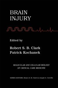 Book Cover for Brain Injury by Robert S B Clark, Patrick Kochanek