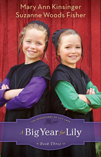 Book Cover for A Big Year for Lily by Mary Ann Kinsinger, Suzanne Woods Fisher