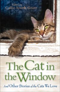 Book Cover for The Cat in the Window by Callie Smith Grant