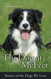 Book Cover for The Dog at My Feet by Callie Smith Grant