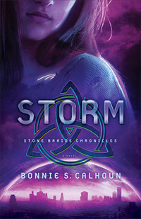 Book Cover for Storm by Bonnie S Calhoun