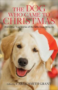 Book Cover for The Dog Who Came to Christmas by Callie Smith Grant