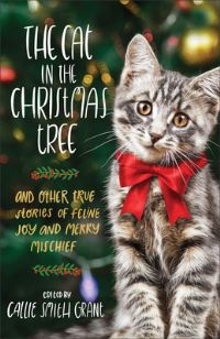 Book Cover for The Cat in the Christmas Tree by Callie Smith Grant