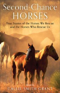 Book Cover for Second-Chance Horses by Callie Smith Grant