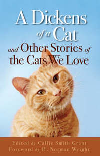 Book Cover for A Dickens of a Cat by Callie Smith Grant