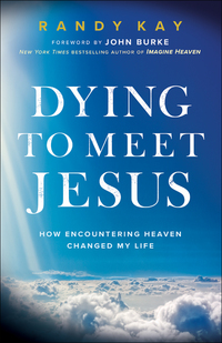 Book Cover for Dying to Meet Jesus by Randy Kay