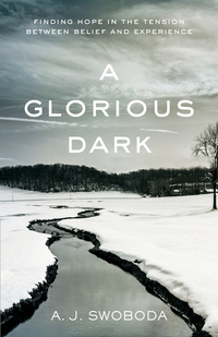 Book Cover for A Glorious Dark by A J Swoboda