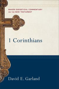 Book Cover for 1 Corinthians by David E Garland