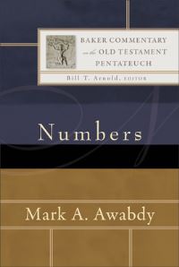 Book Cover for Numbers by Mark A Awabdy