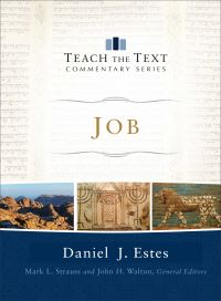 Book Cover for Job by Daniel J Estes