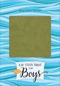 Book Cover for Study Bible for Boys by Larry Richards