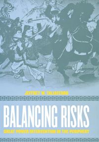 Book Cover for Balancing Risks by Jeffrey W Taliaferro