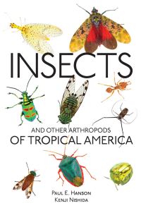 Book Cover for Insects and Other Arthropods of Tropical America by Paul E Hanson