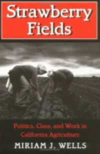 Book Cover for Strawberry Fields by Miriam J Wells