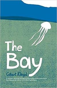 Book Cover for The Bay by Gilbert C Klingel