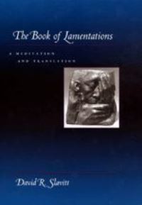 Book Cover for The Book of Lamentations by David R Slavitt