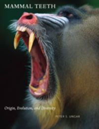 Book Cover for Mammal Teeth by Peter S Ungar