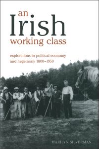 Book Cover for An Irish Working Class by Marilyn Silverman