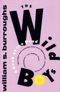 Book Cover for The Wild Boys by William S Burroughs