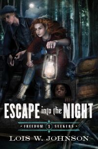 Book Cover for Escape Into the Night by Lois Walfrid Johnson