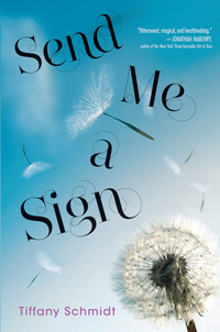 Book Cover for Send Me a Sign by Tiffany Schmidt