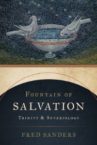Book Cover for Fountain of Salvation by Fred Sanders