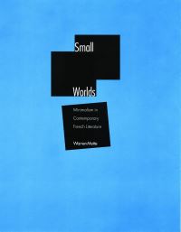 Book Cover for Small Worlds by Warren F Motte