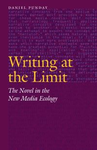 Book Cover for Writing at the Limit by Daniel Punday
