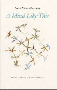 Book Cover for A Mind Like This by Susan Blackwell Ramsey