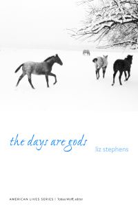 Book Cover for The Days Are Gods by Liz Stephens